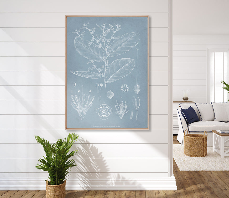 Botanical Study (Pale Blue) IV (Canvas)