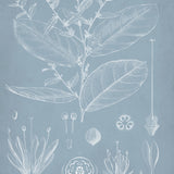 dela04_3