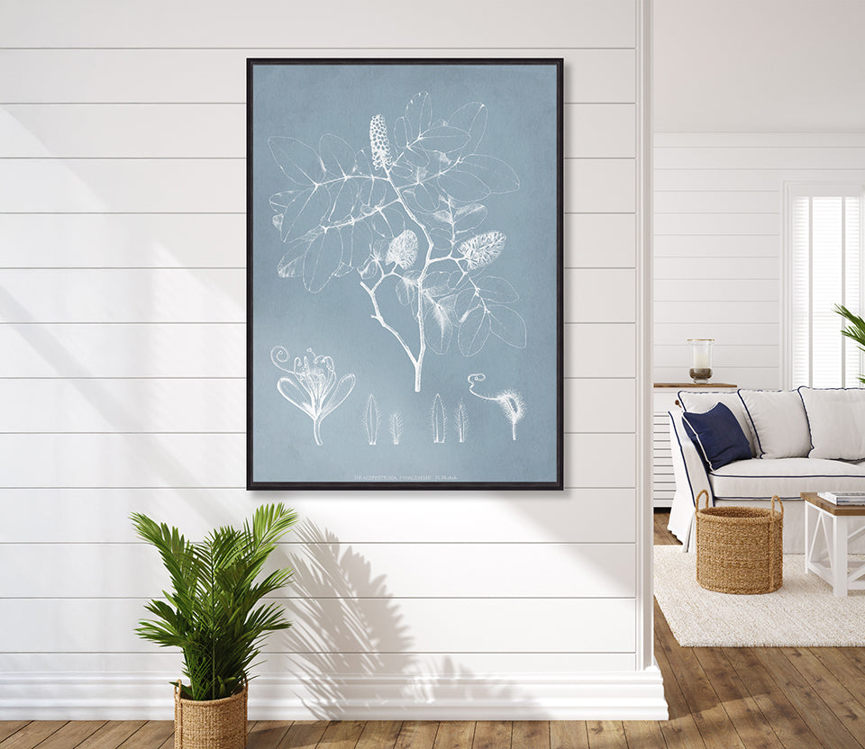 Botanical Study (Pale Blue) V (Canvas)