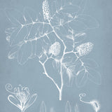 dela05_3