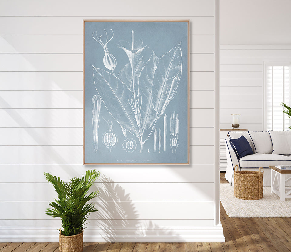 Botanical Study (Pale Blue) VI (Canvas)