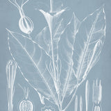 dela06_3