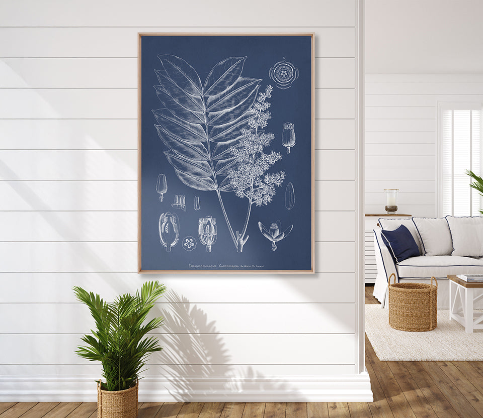 Botanical Study (Indigo) VII (Canvas)