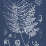 dela07_3