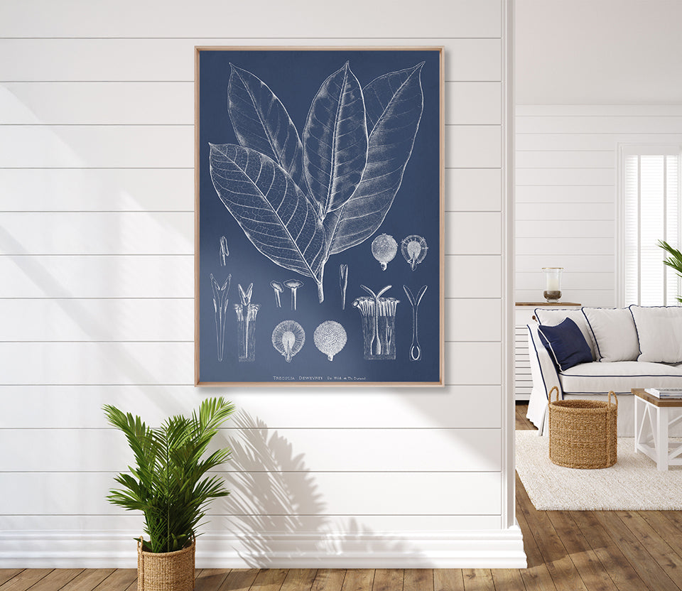 Botanical Study (Indigo) VIII (Canvas)