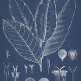 dela08-c_3