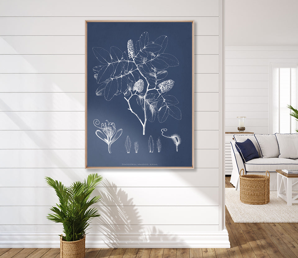 Botanical Study (Indigo) IX (Canvas)
