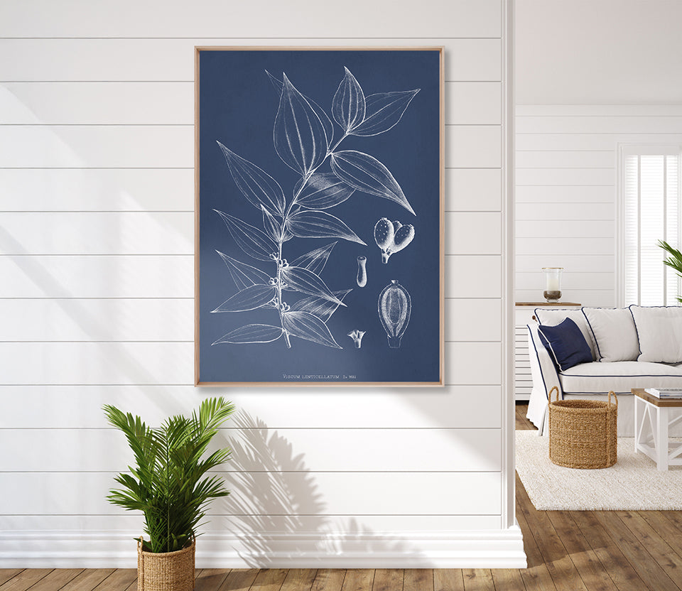 Botanical Study (Indigo) X (Canvas)