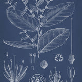dela11-c_3
