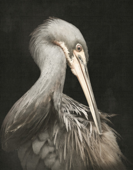 East Hampton Heron I (Canvas)