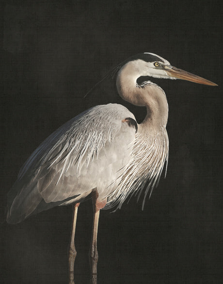 East Hampton Heron II (Canvas)