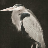 easth03_3