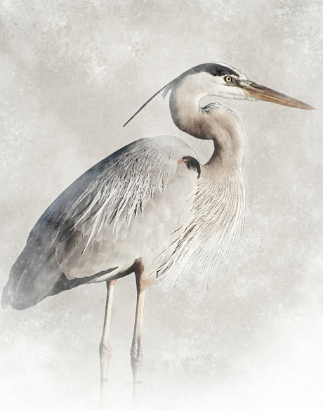 East Hampton Heron V (Canvas)