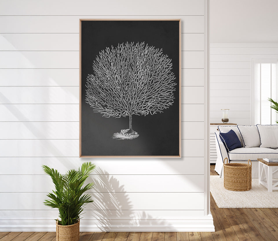 Curious Coral Delight I (Canvas)