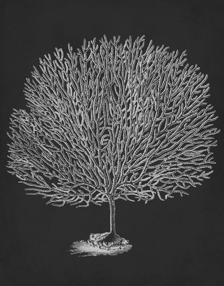 Curious Coral Delight I (Canvas)