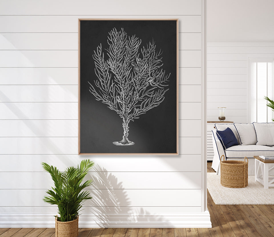Curious Coral Delight IV (Canvas)