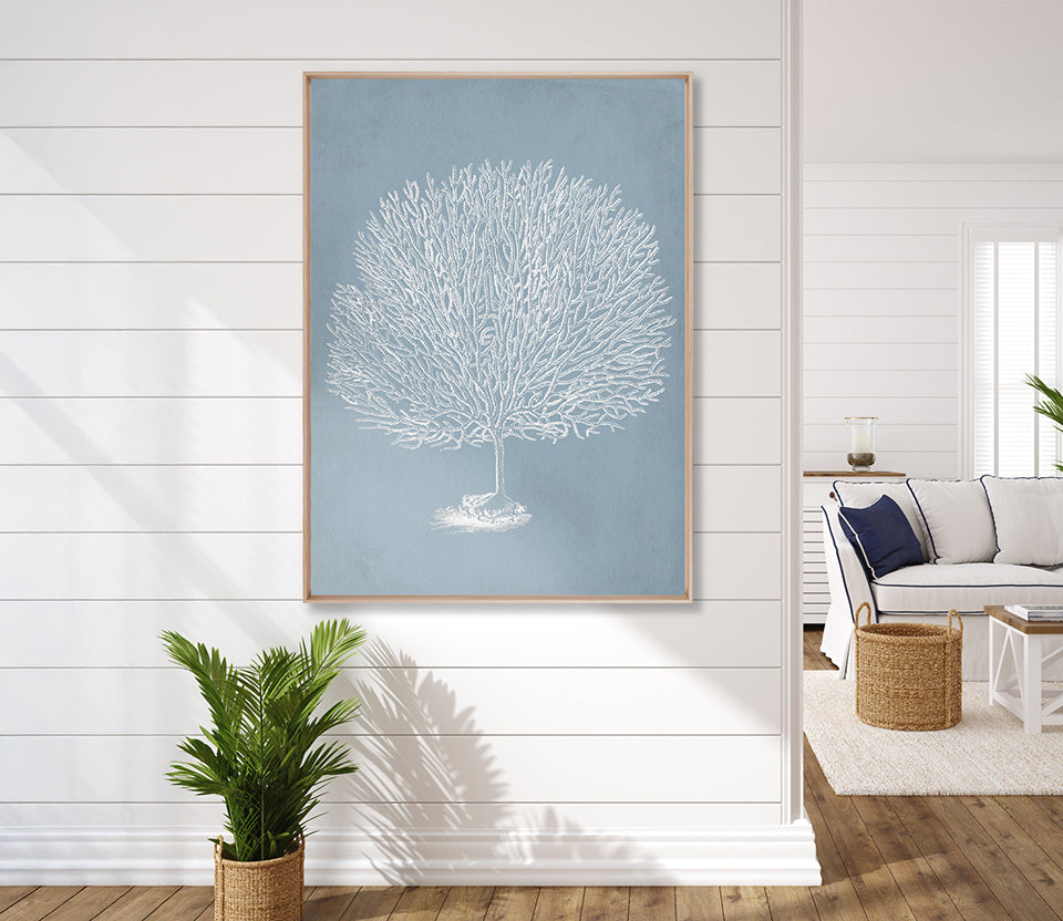 Curious Coral Delight VII (Canvas)