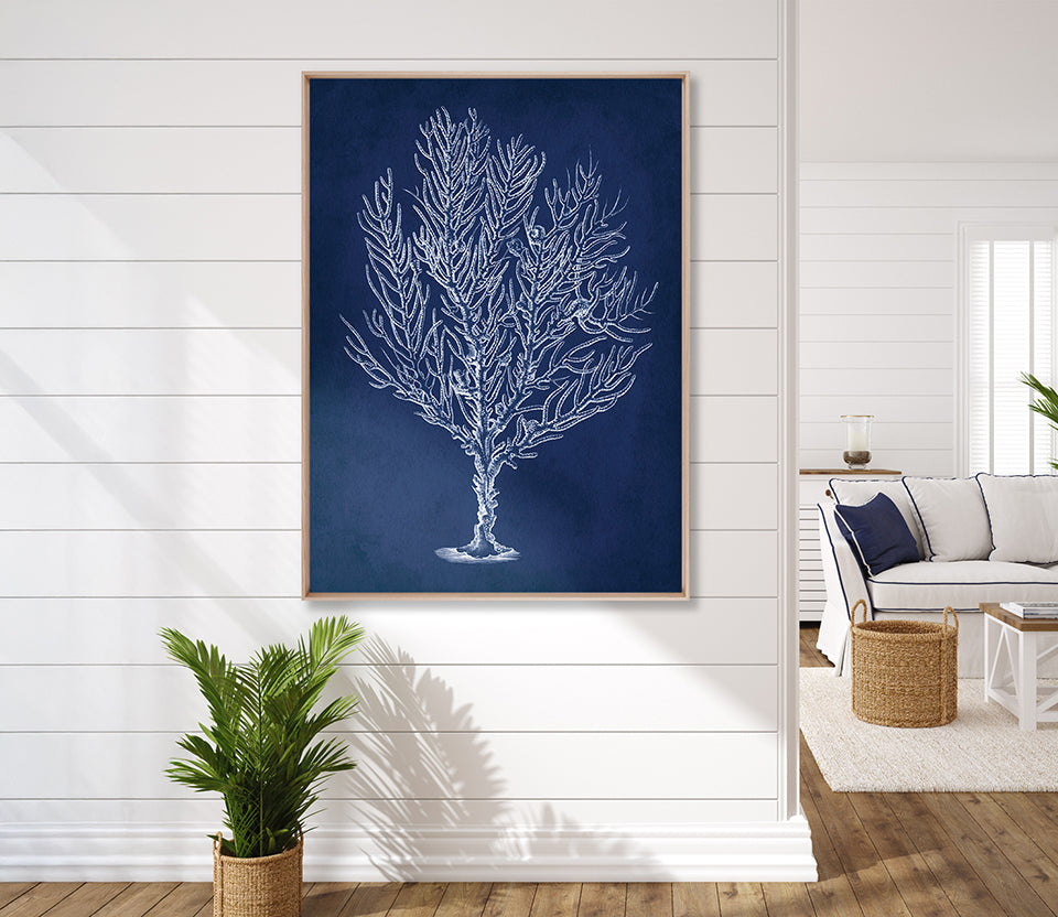 Curious Coral Delight VIII (Canvas)