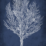 ellis08-c_3