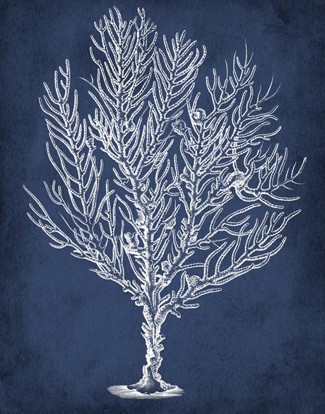 Curious Coral Delight VIII (Canvas)