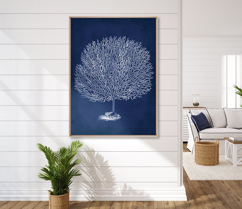 Curious Coral Delight X (Canvas)