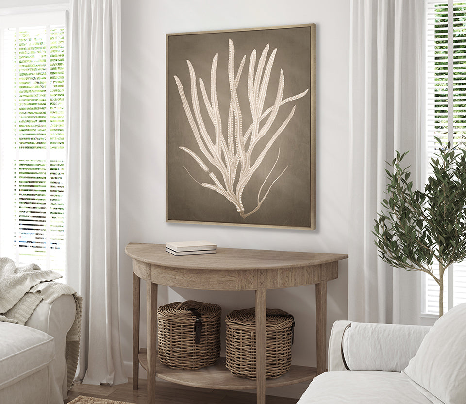 Coral Curiosity VI (Canvas)