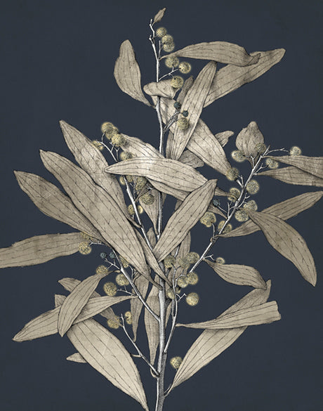 Botanical Etching I (Canvas)