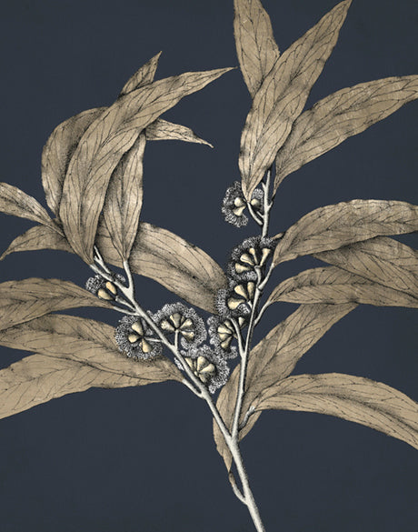 Botanical Etching II