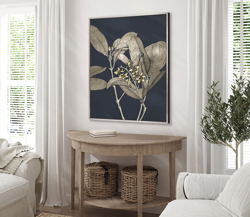 Botanical Etching III (Canvas)