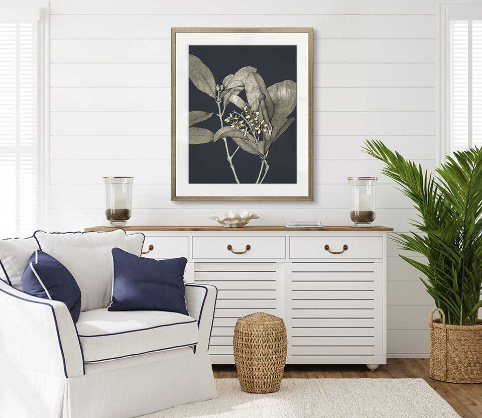 Botanical Etching III