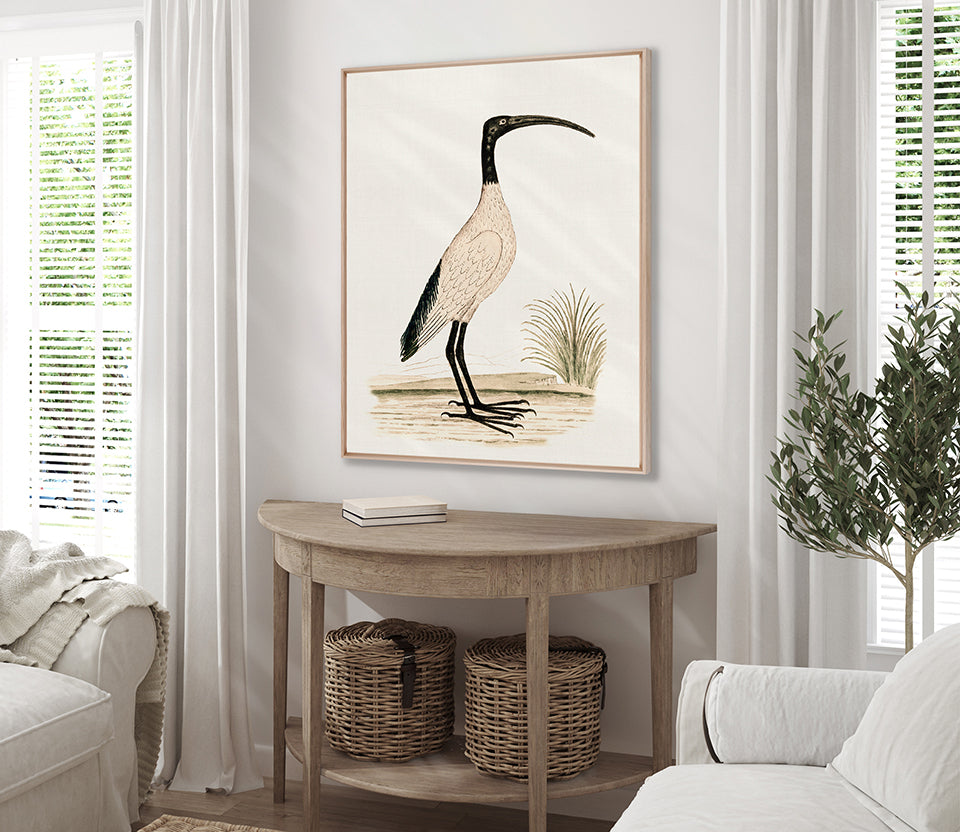 Waterbirds I (Canvas)