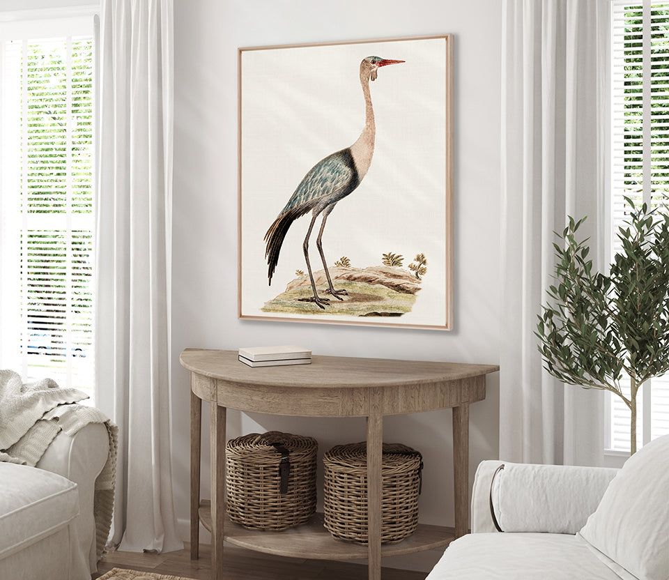 Waterbirds IV (Canvas)