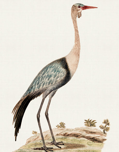 Waterbirds IV