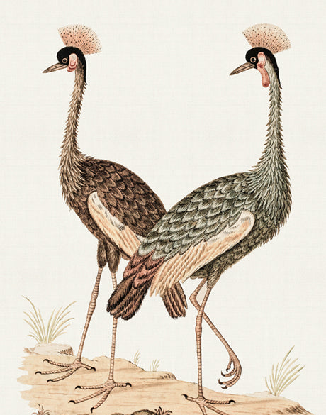 Waterbirds V (Canvas)