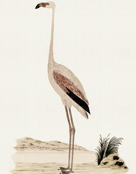 Waterbirds VI (Canvas)