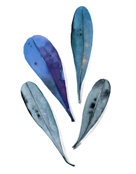 Fairbank Leaf II