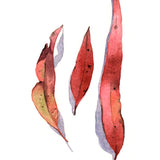 fair06-c_3