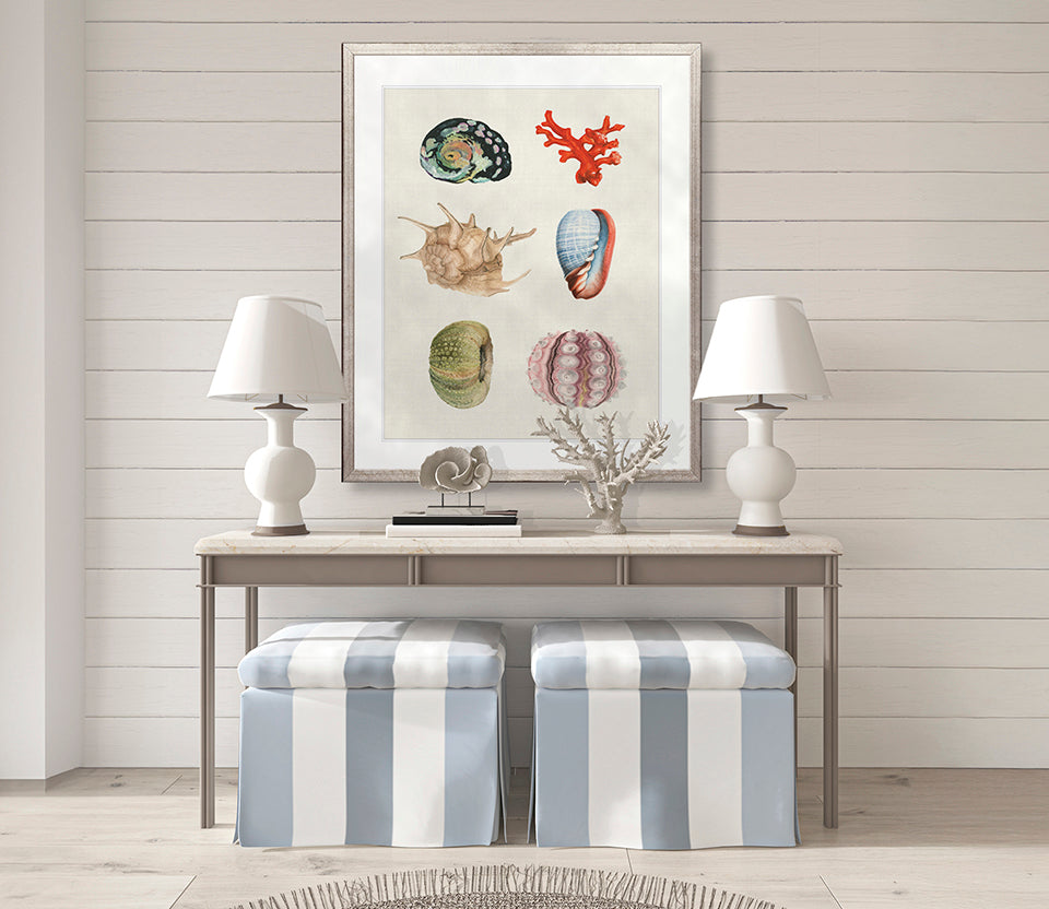 Seashell Collage IV