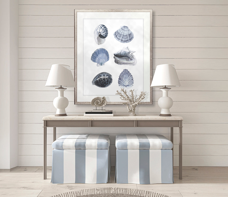 Seashell Collage V