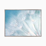 float01-c_4