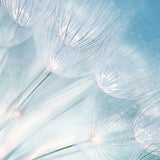 float01_3
