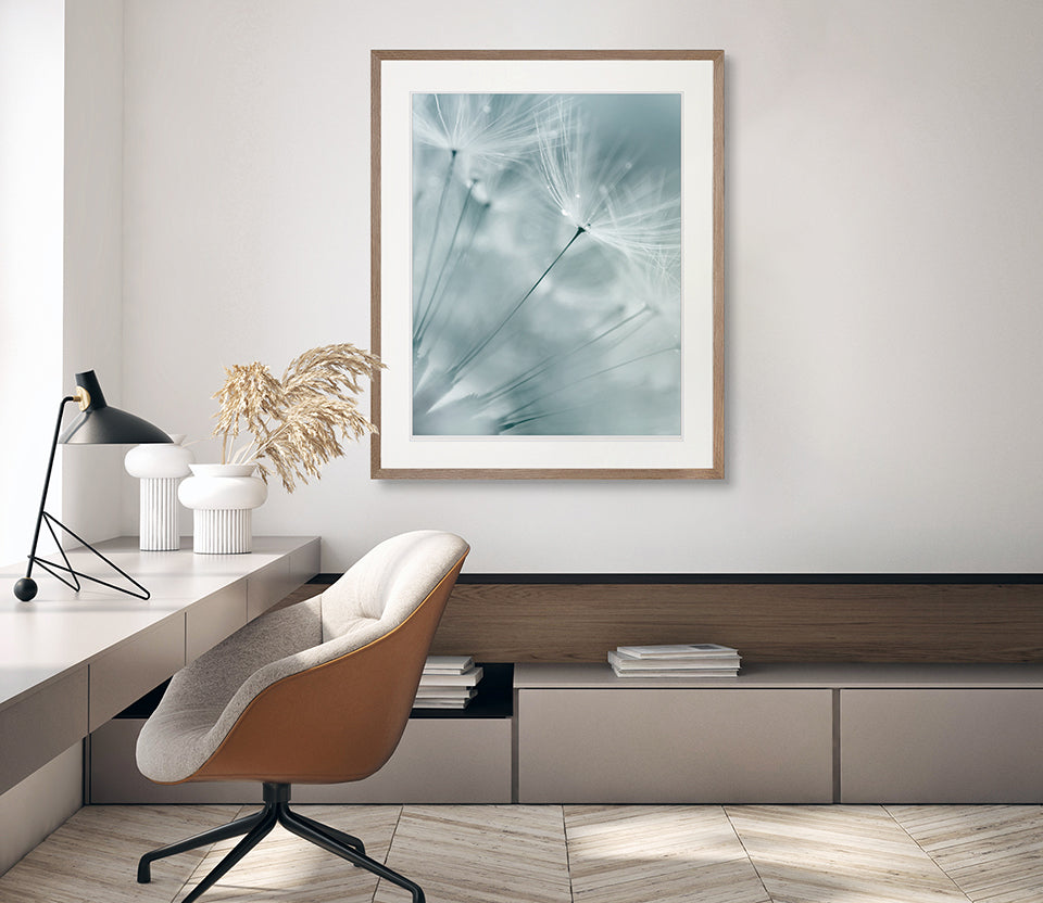 Floating Seeds IV