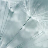 float04_3
