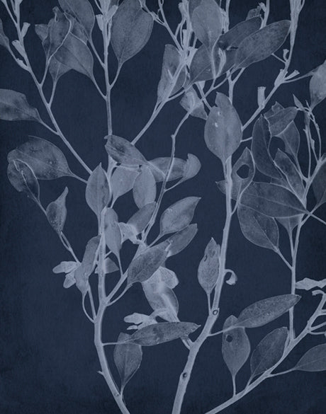 Foliage Splendour (Indigo) III (Canvas)