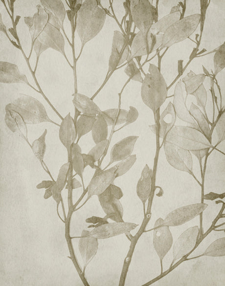 Foliage Splendour (Natural) VIII (Canvas)