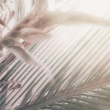 gard02_3