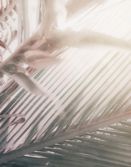 Gardiners Palms II