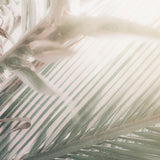 gard05_3