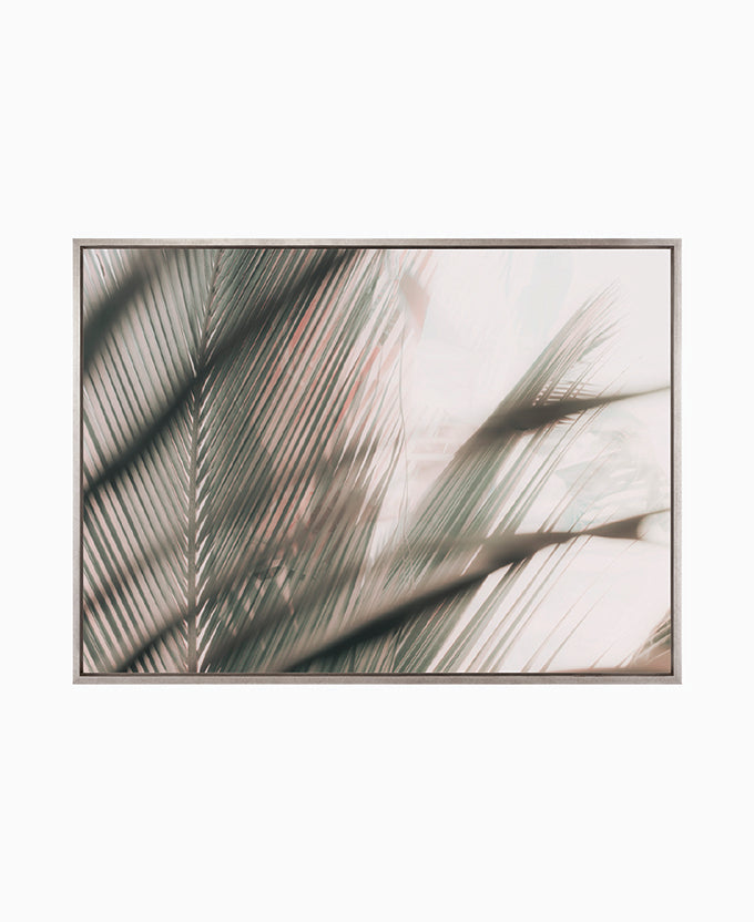 Gardiners Palms VI (Canvas)