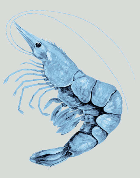 Grand Cayman III (Canvas)